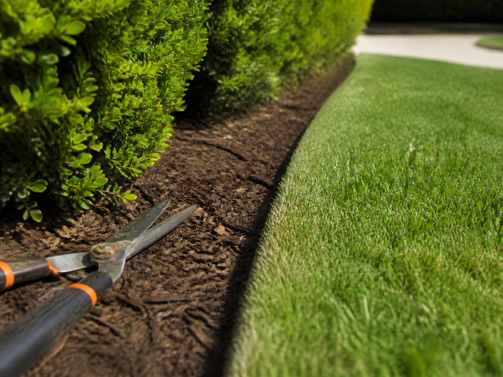 Trimming, Weeding, Edging and Mowing